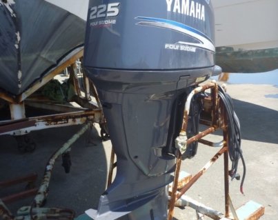 000256-yamaha-f225.jpg