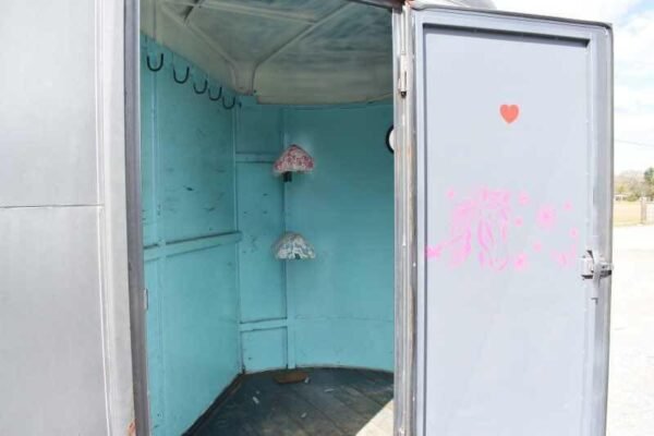 2007 WW 2HSL 2 Horse Trailer - Image 4