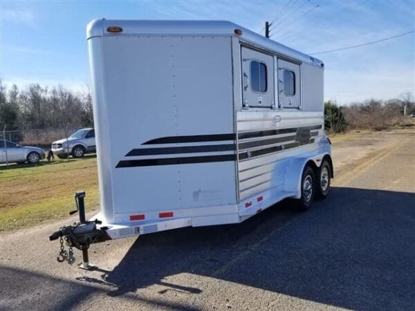 2001 4 Star 2 Horse Bumper Pull Slant Load - Image 8