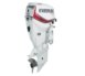 Evinrude-E115DPX-115HP-Outboard-Motor.jpg