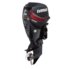 Evinrude-E115GNL.jpg