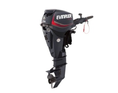Evinrude-E25DPSL.jpg