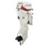Evinrude-E60DPGL.jpg