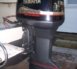 Yam-250-2.jpg